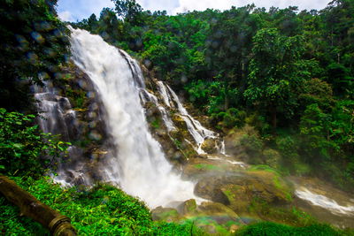Ljuddämpande tavla - Waterfall in the tropical