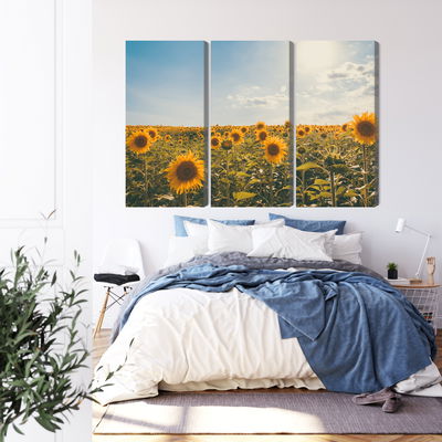 Ljuddämpande tavla - Sunflower field on a summer