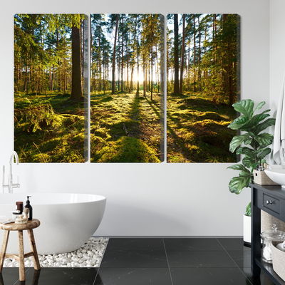 Ljuddämpande tavla - Forest landscape with sunset