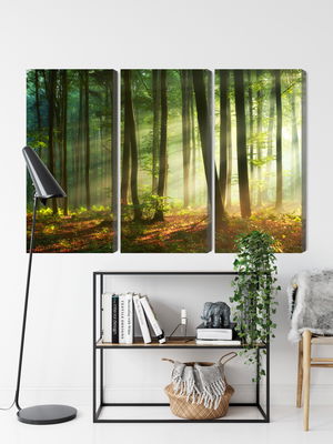 Ljuddämpande tavla - The rays of the sun