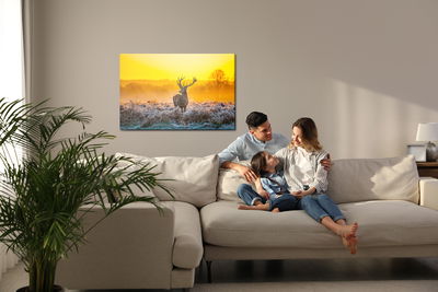 Ljuddämpande tavla - Deer at dawn