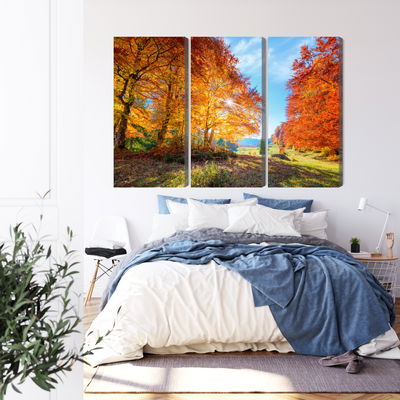 Ljuddämpande tavla - Colorful autumn trees