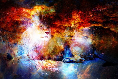 Ljuddämpande tavla - Lion in outer space