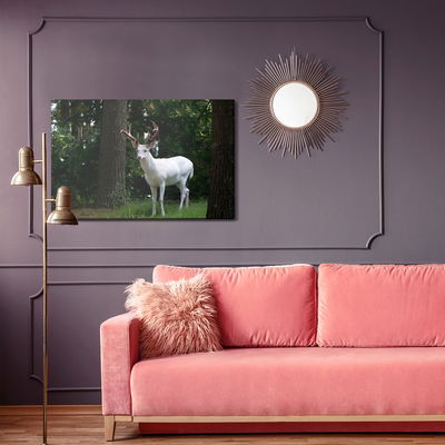 Ljuddämpande tavla - Albino deer in the forest