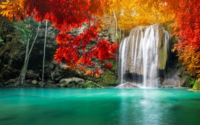 Ljuddämpande tavla - Cascade in the autumn forest