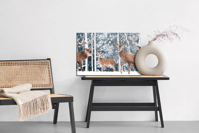 Ljuddämpande tavla - A herd of deer in the winter