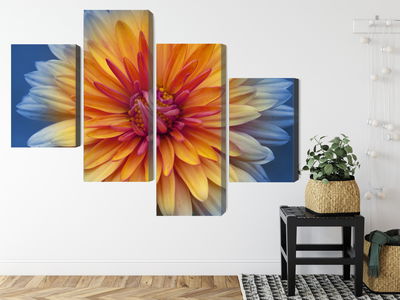 Ljuddämpande tavla - Chrysanthemum flower close