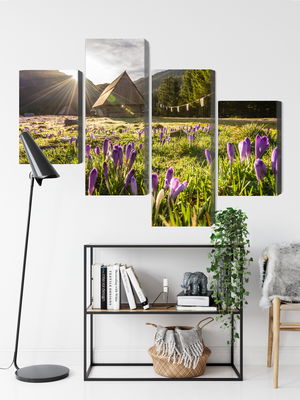 Ljuddämpande tavla - Chocholowska valley