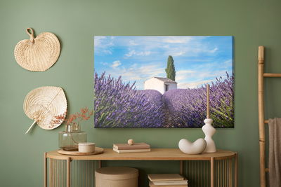 Ljuddämpande tavla - Beautiful lavender flowers