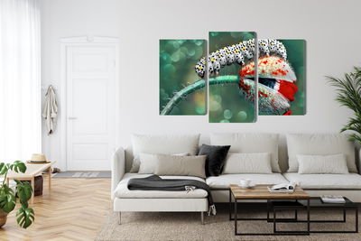 Ljuddämpande tavla - A caterpillar and a ladybug