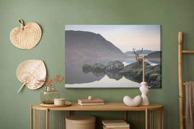 Ljuddämpande tavla - Deer by the lake