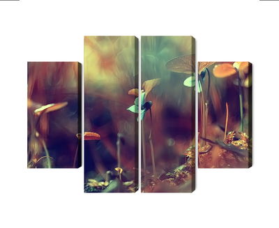 Ljuddämpande tavla - Delicate plants on a macro