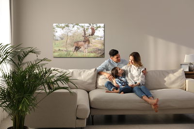 Ljuddämpande tavla - Adult deer with magnificent