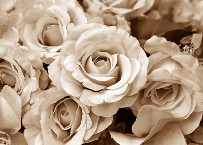 Ljuddämpande tavla - Vintage rose petals