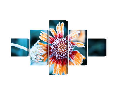 Ljuddämpande tavla - Rudbeckia flowers covered