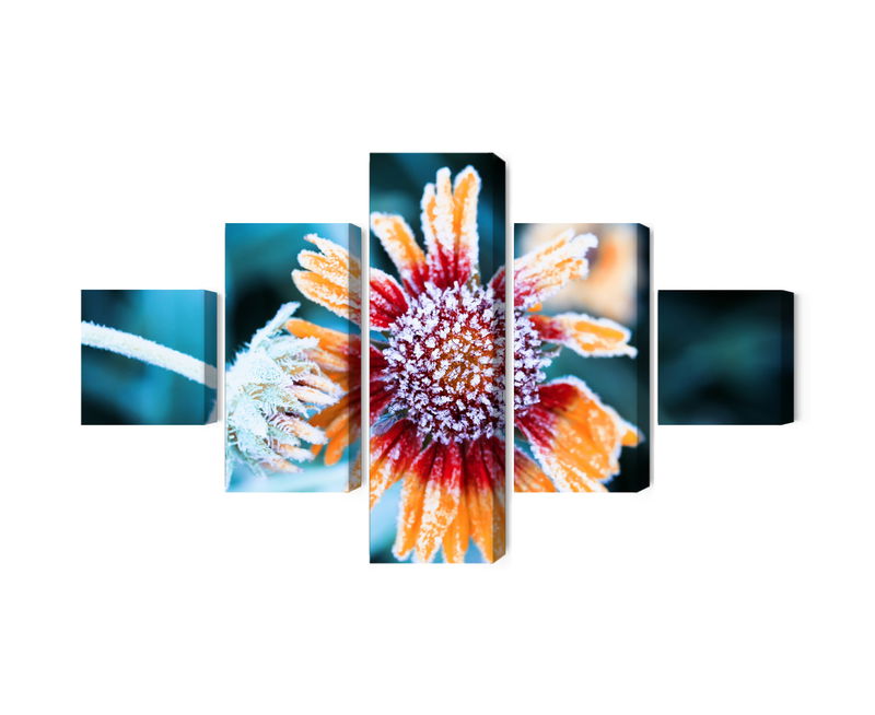 Ljuddämpande tavla - Rudbeckia flowers covered