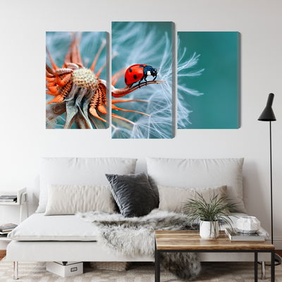 Ljuddämpande tavla - Ladybug on a dandelion