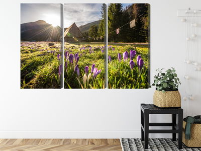 Ljuddämpande tavla - Chocholowska valley