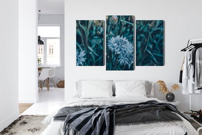 Ljuddämpande tavla - Cornflowers in the meadow 3d