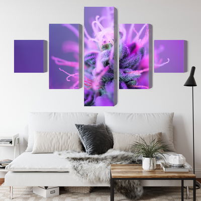 Ljuddämpande tavla - Macro plant on a pink-purple