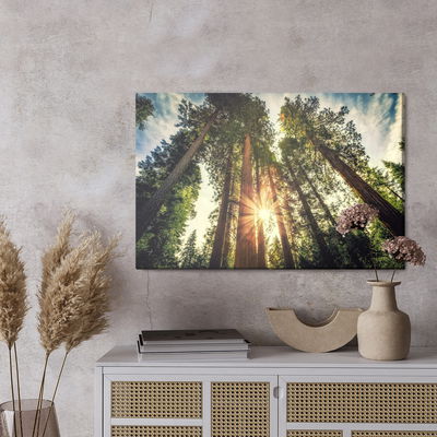 Ljuddämpande tavla - Sunrise forest