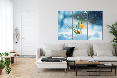 Ljuddämpande tavla - Yellow crocuses breaking