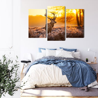 Ljuddämpande tavla - Deer in the forest at sunset