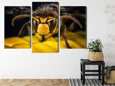 Ljuddämpande tavla - Wasp on a macro scale