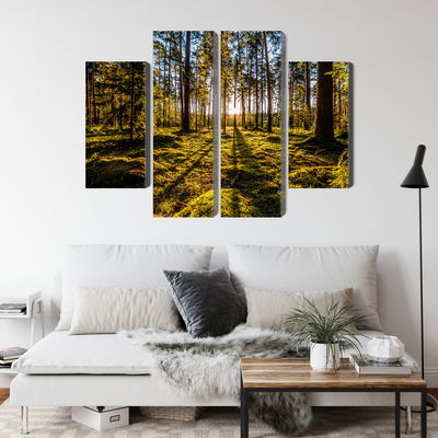 Ljuddämpande tavla - Morning sun rays