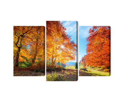 Ljuddämpande tavla - Colourful autumn trees