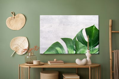 Ljuddämpande tavla - Monstera leaves