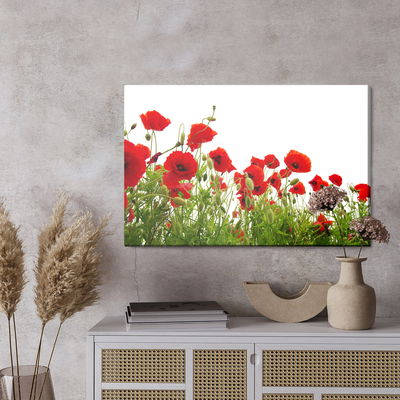 Ljuddämpande tavla - Red poppies on a white