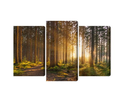 Ljuddämpande tavla - Sunset in the forest