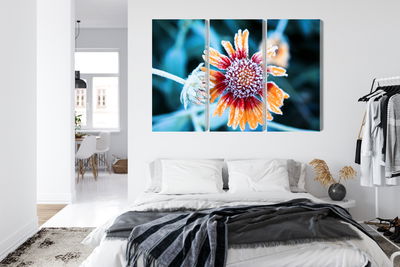 Ljuddämpande tavla - Rudbeckia flowers covered