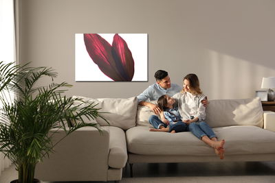 Ljuddämpande tavla - Cordyline bush leaves