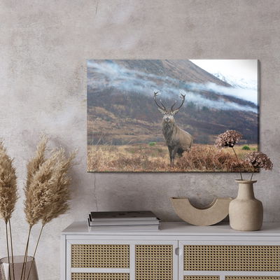 Ljuddämpande tavla - The majestic deer against