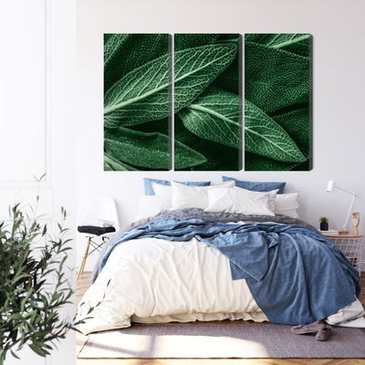 Ljuddämpande tavla - Salvia leaves on a macro