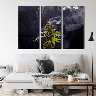 Ljuddämpande tavla - Cannabis plant on a smoky