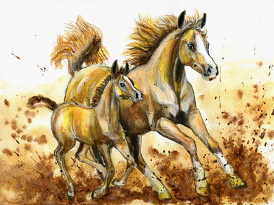 Ljuddämpande tavla - Galloping horses painted