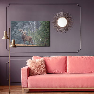 Ljuddämpande tavla - A stately deer in the forest