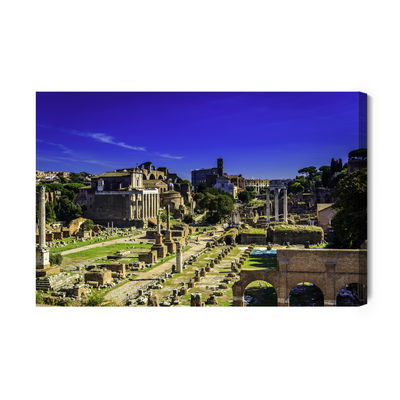 Ljuddämpande tavla - View of the roman forum