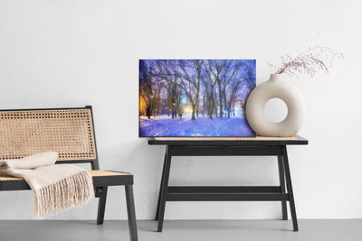 Ljuddämpande tavla - Winter in the park