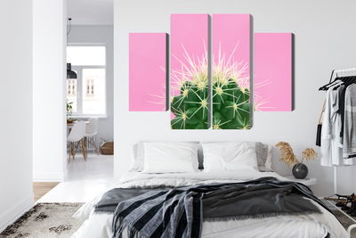 Ljuddämpande tavla - Cactus on a pink background