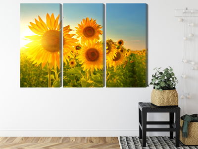 Ljuddämpande tavla - Sunflower field at sunset 3d