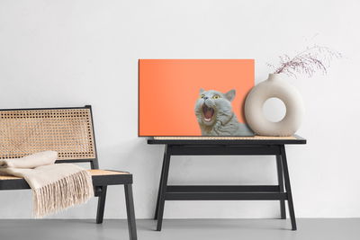 Ljuddämpande tavla - British cat on an orange