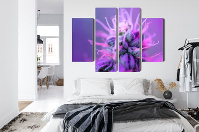 Ljuddämpande tavla - Macro plant on a pink-purple