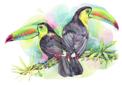 Ljuddämpande tavla - Watercolor parrots