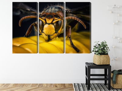 Ljuddämpande tavla - Wasp on a macro scale