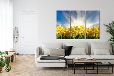 Ljuddämpande tavla - 3d daffodils field