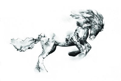 Ljuddämpande tavla - Horse as sketched